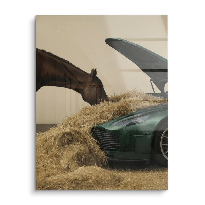 Luxury grazing