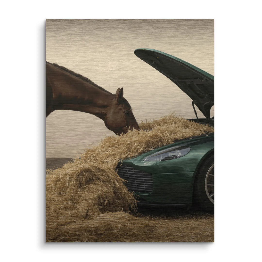 Luxury grazing