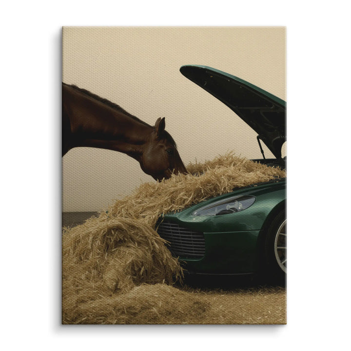 Luxury grazing