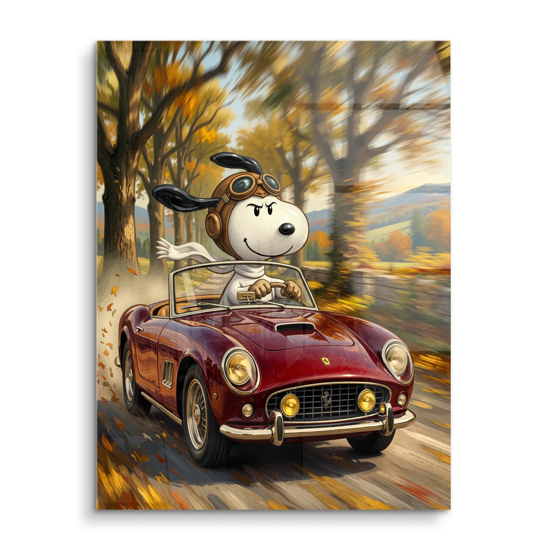 Open road