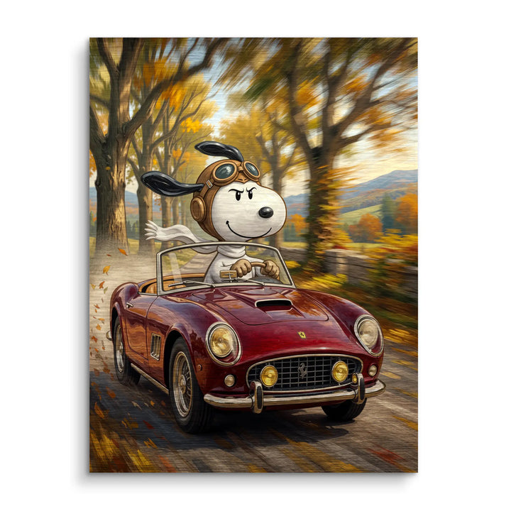 Open road