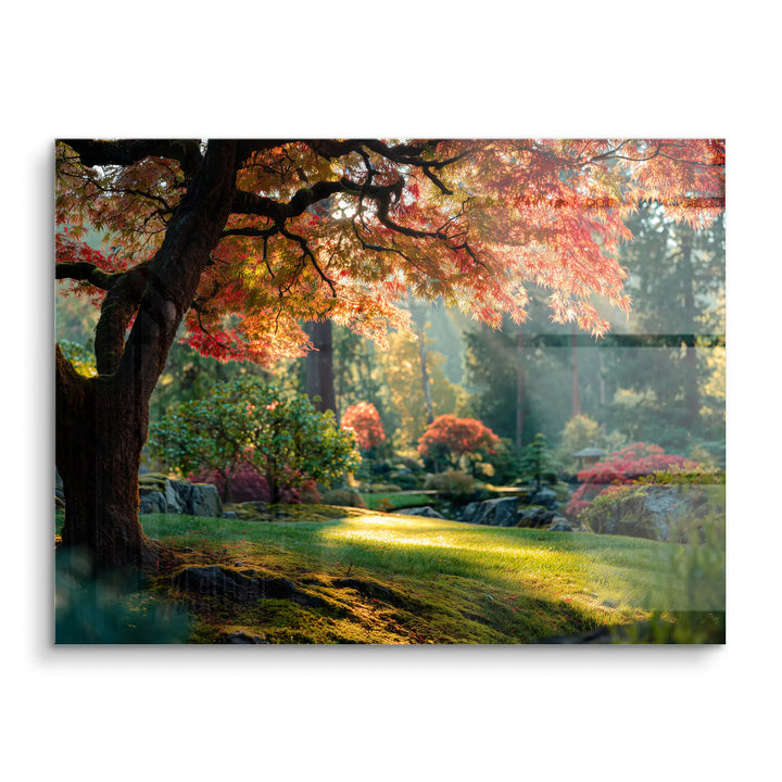 Timeless grove