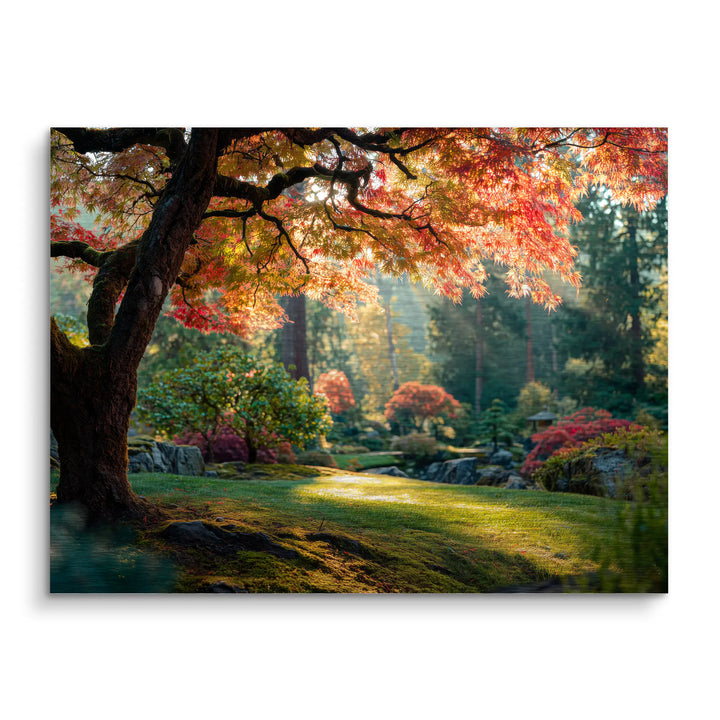 Timeless grove