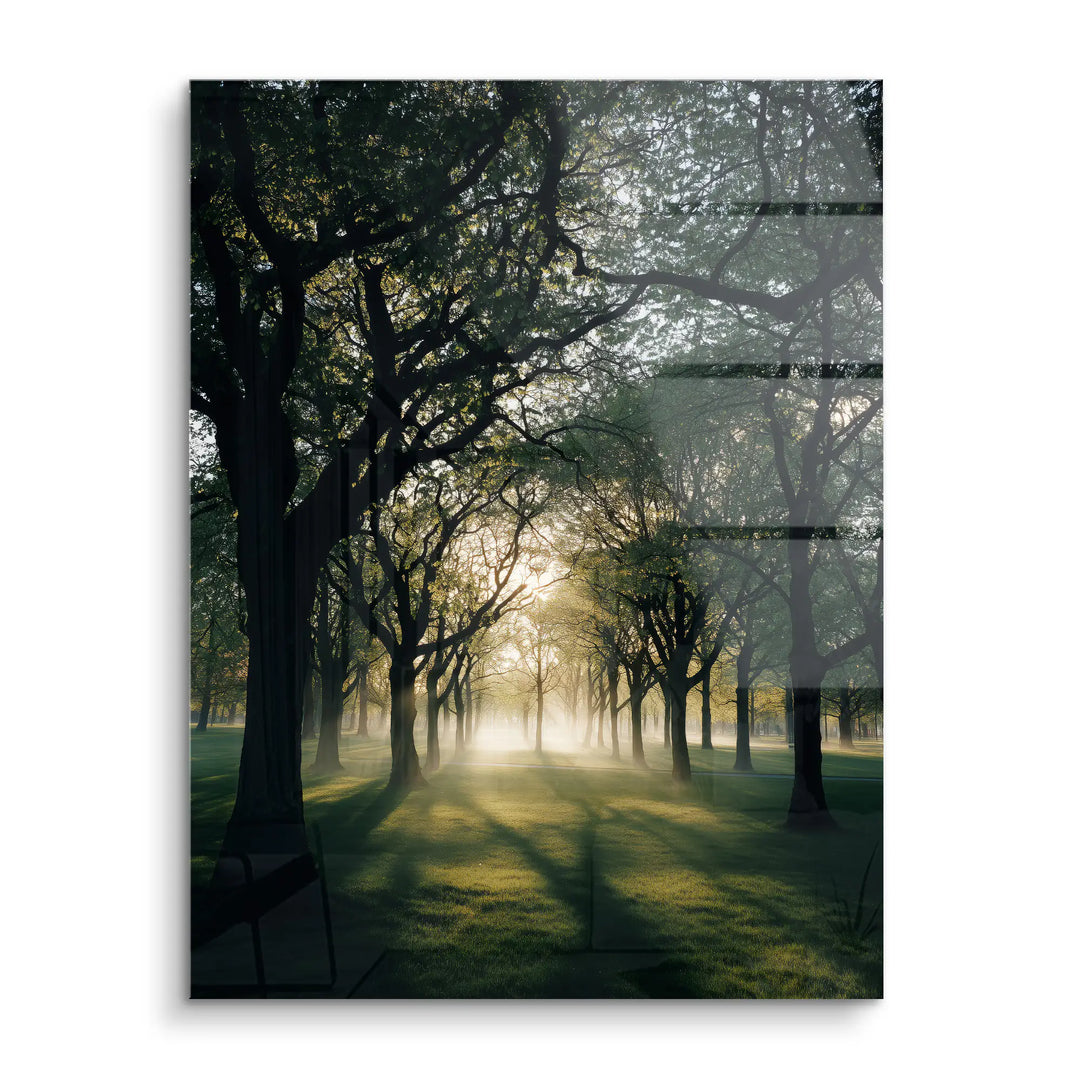 Quiet glow