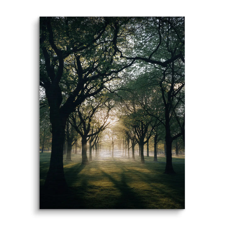 Quiet glow