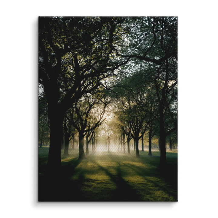 Quiet glow