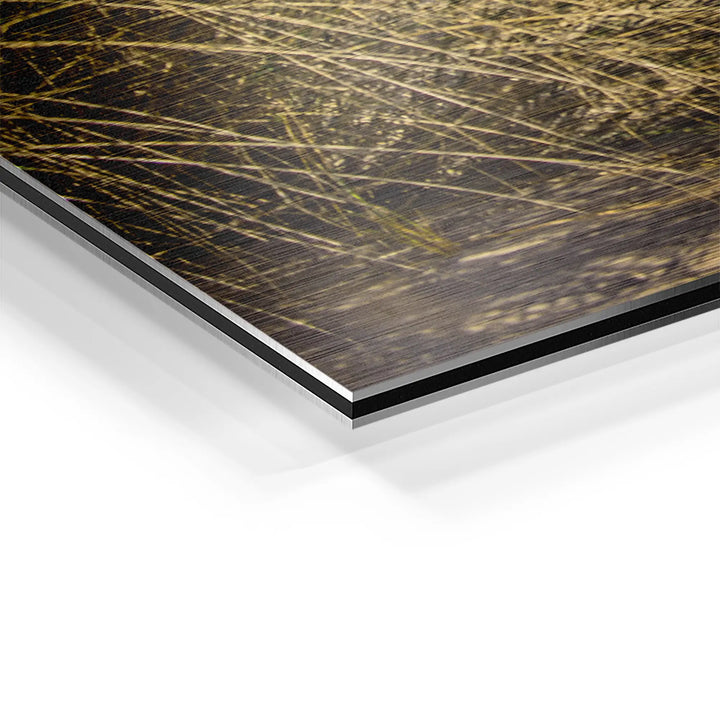 Dune Light