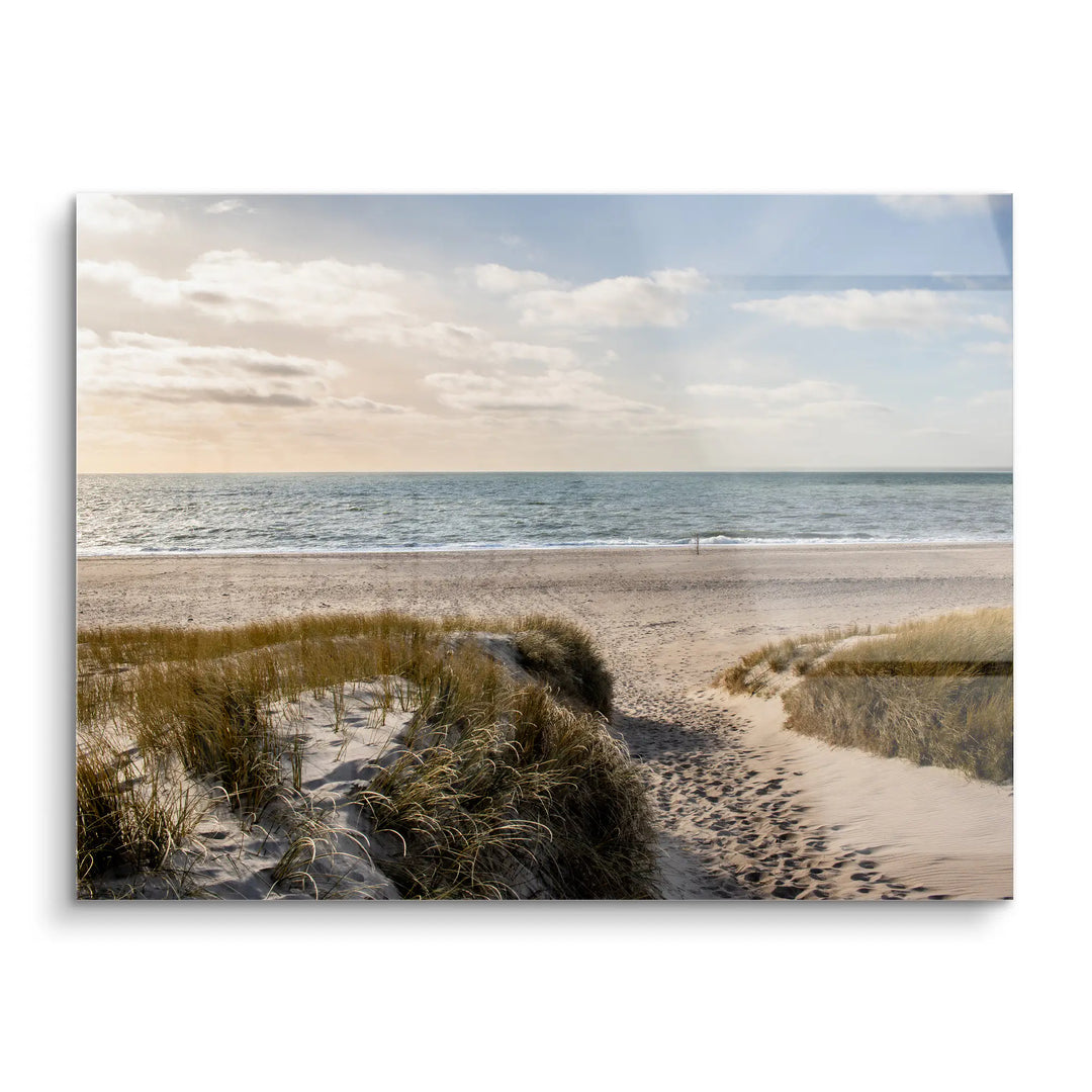 Wander Shore