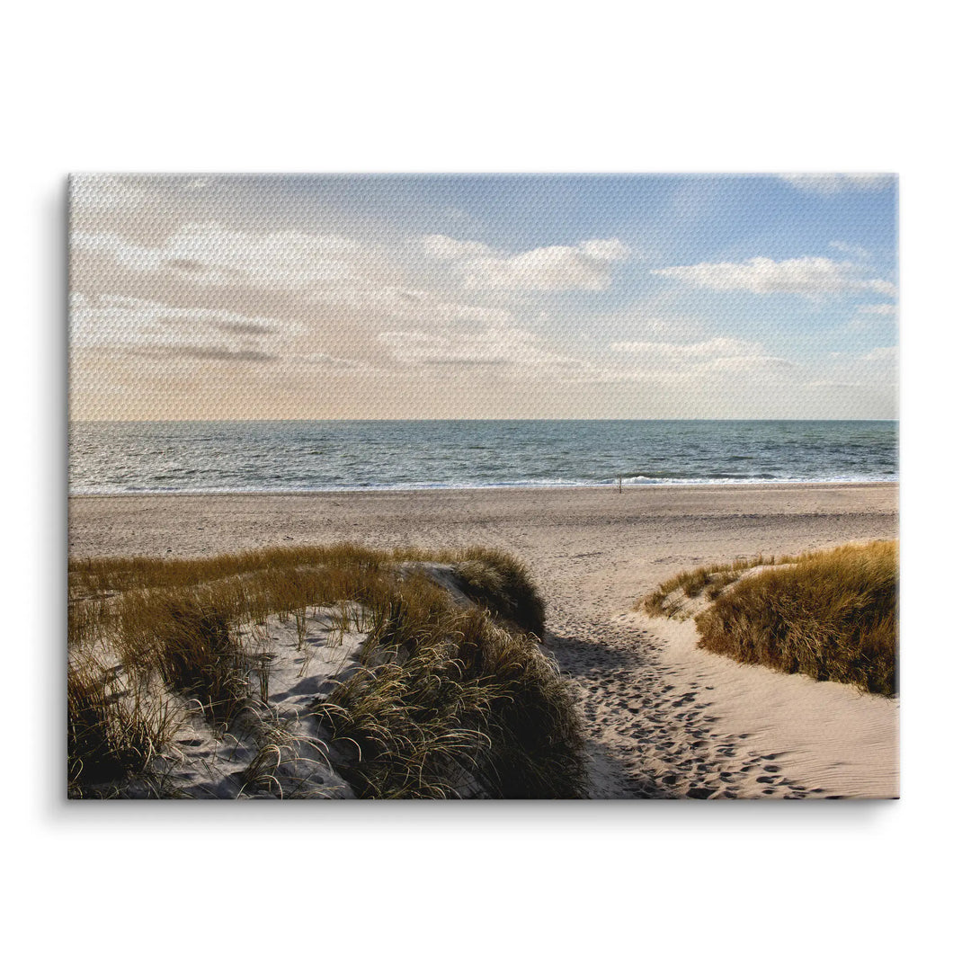 Wander Shore