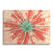 Coral Bloom Burst