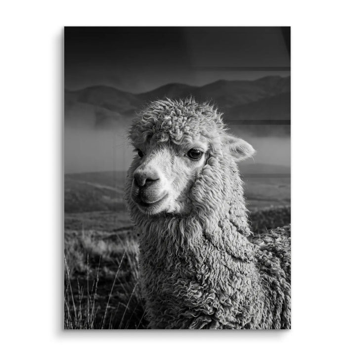 Alpaca Highlands