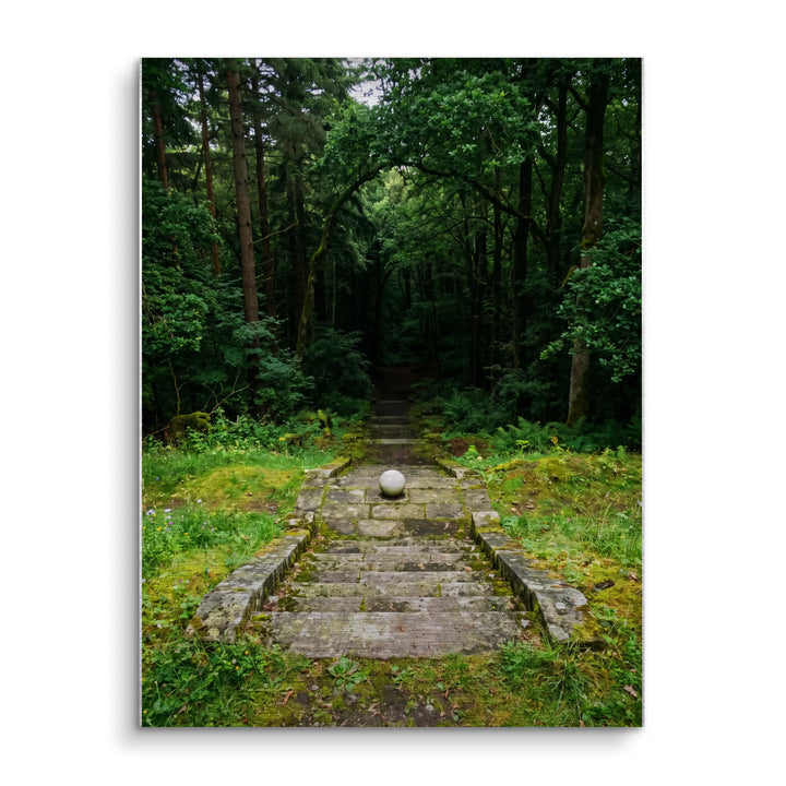 Silent Ascent