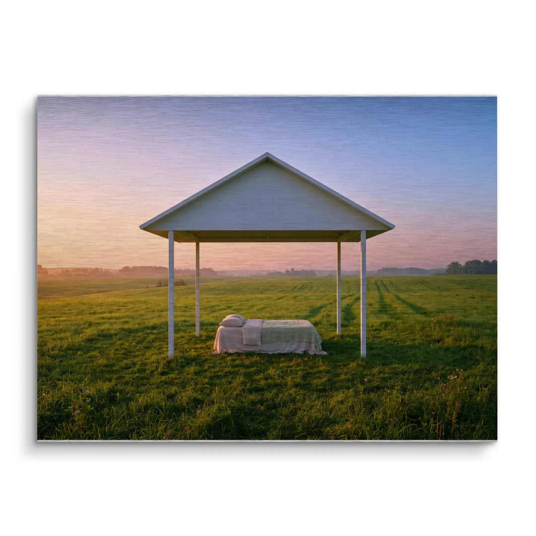 Quiet Shelter Dawn
