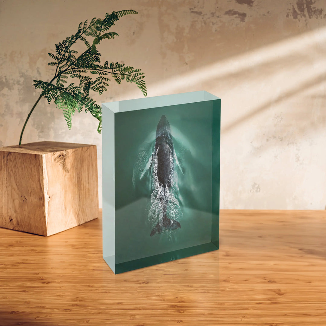 Acrylblock - Diving