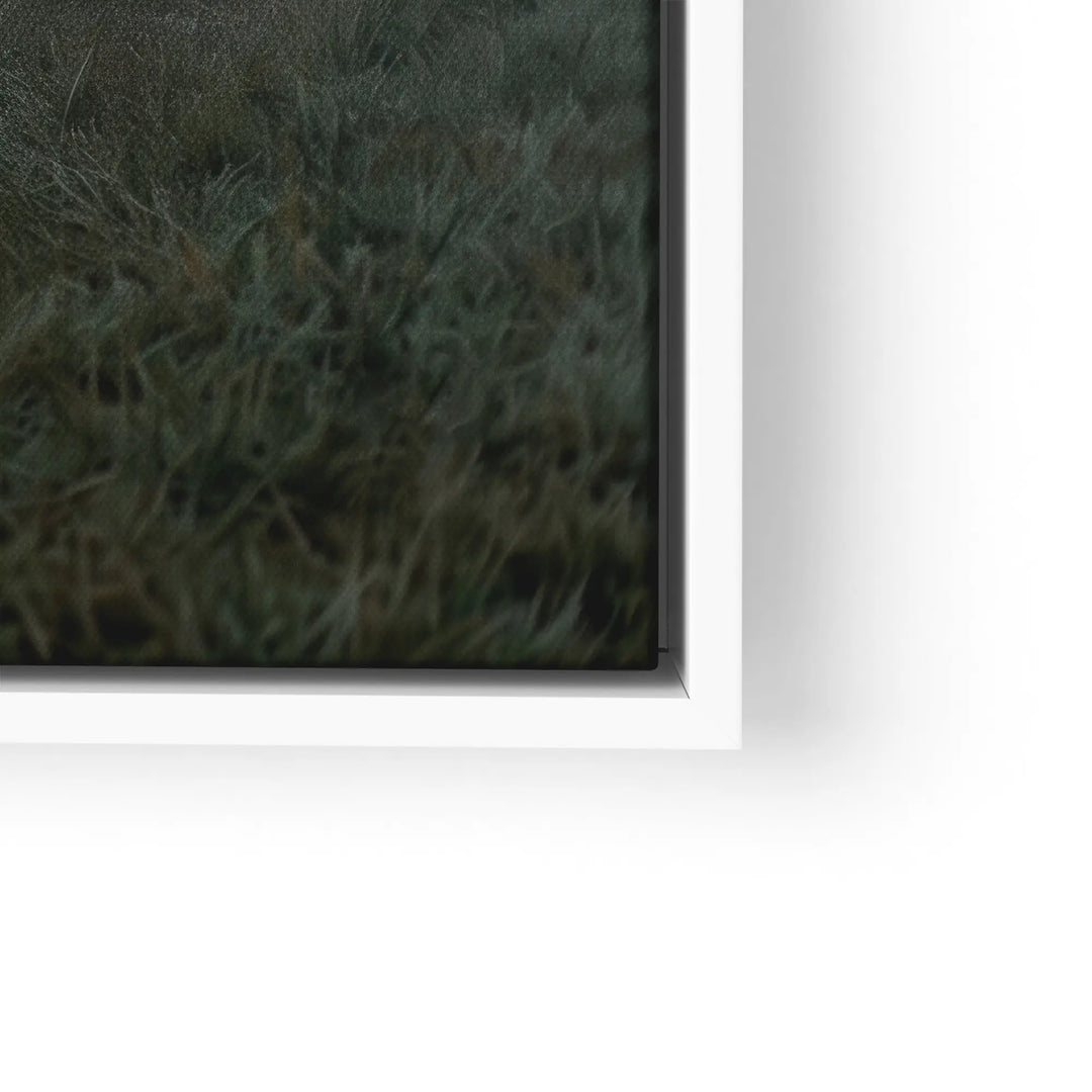 Threshold Fields