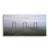 Threshold Fields