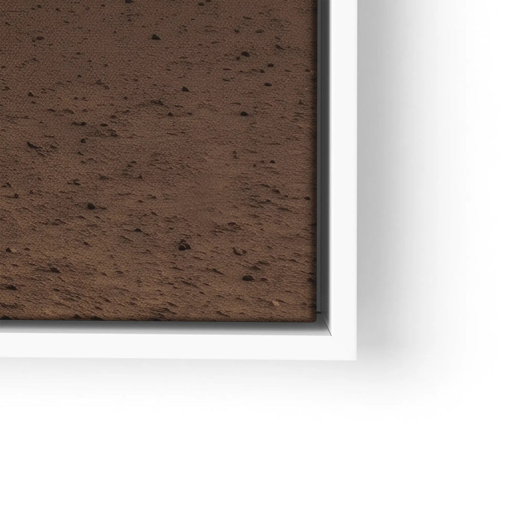 Desert Solitude