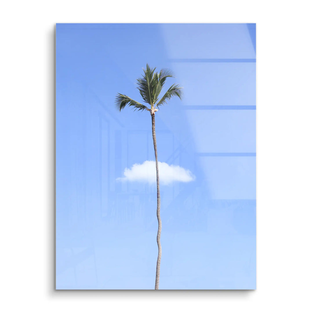 Lonely palm