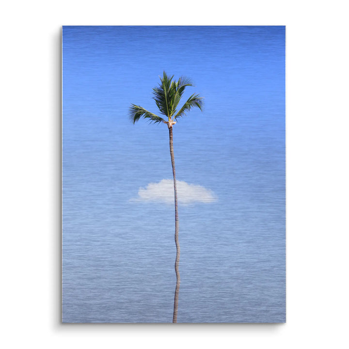 Lonely palm