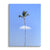 Lonely palm