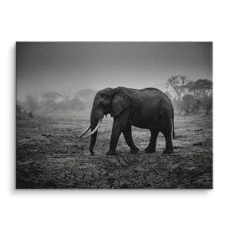 Silent Giant