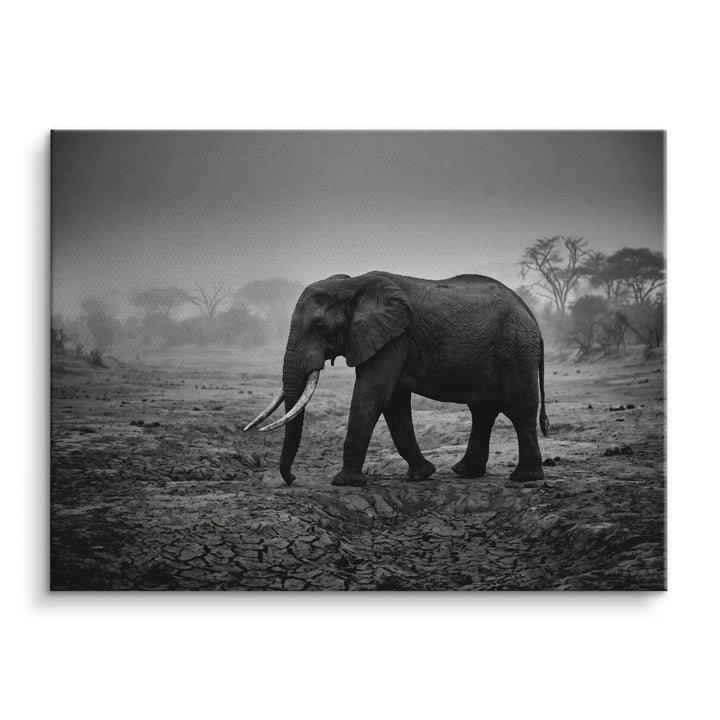 Silent Giant