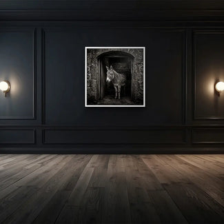 Stable Gaze