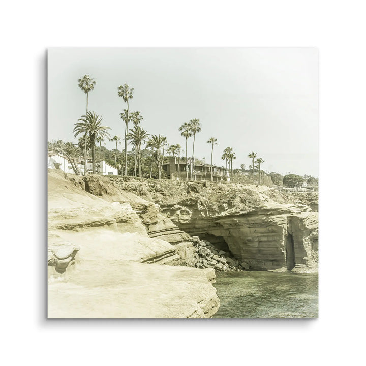 Coastal Bluffs