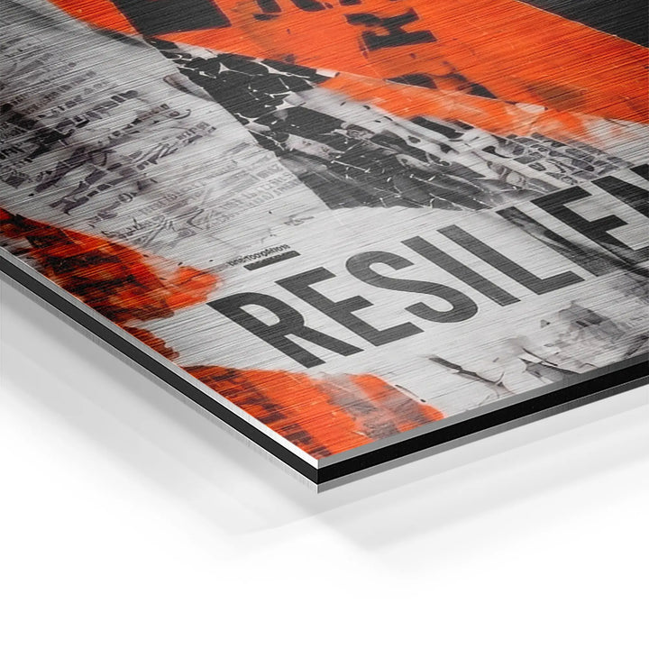 Urban Resilience