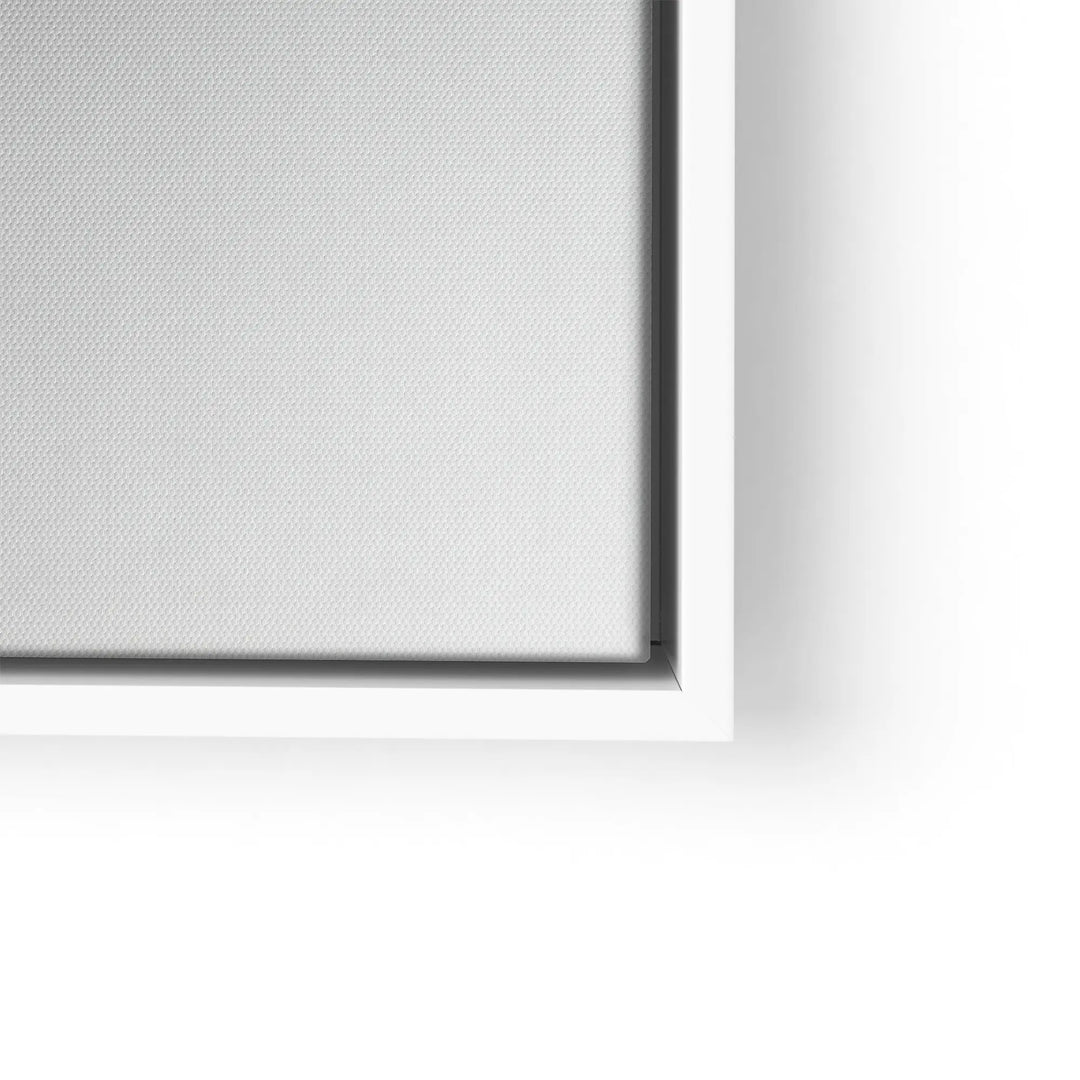 Shades of White