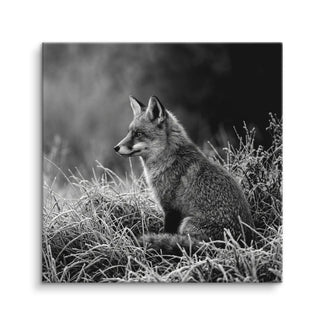 Silent Fox