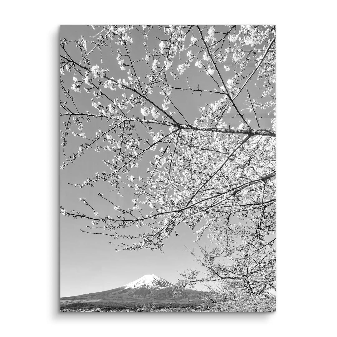 Fuji Blossom
