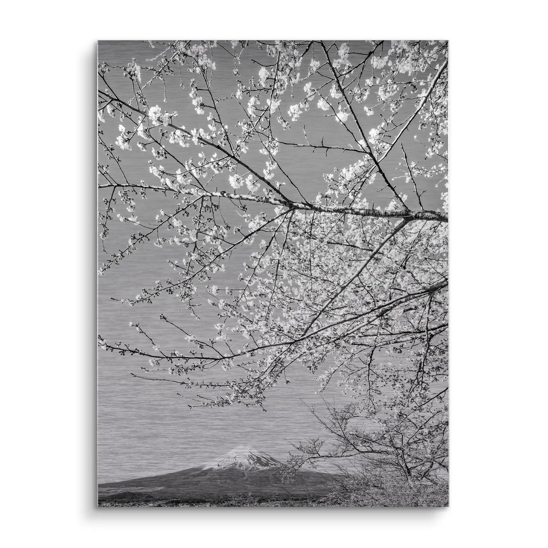 Fuji Blossom