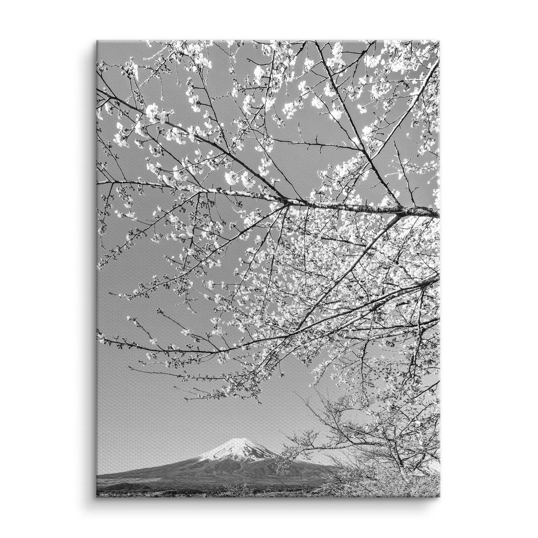 Fuji Blossom