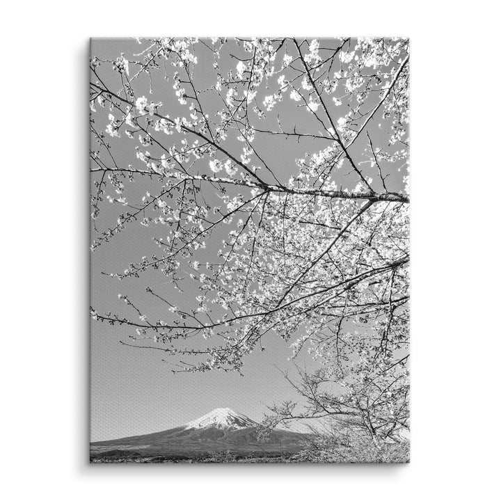 Fuji Blossom