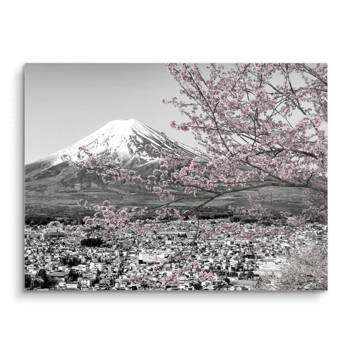 Fuji Blossom