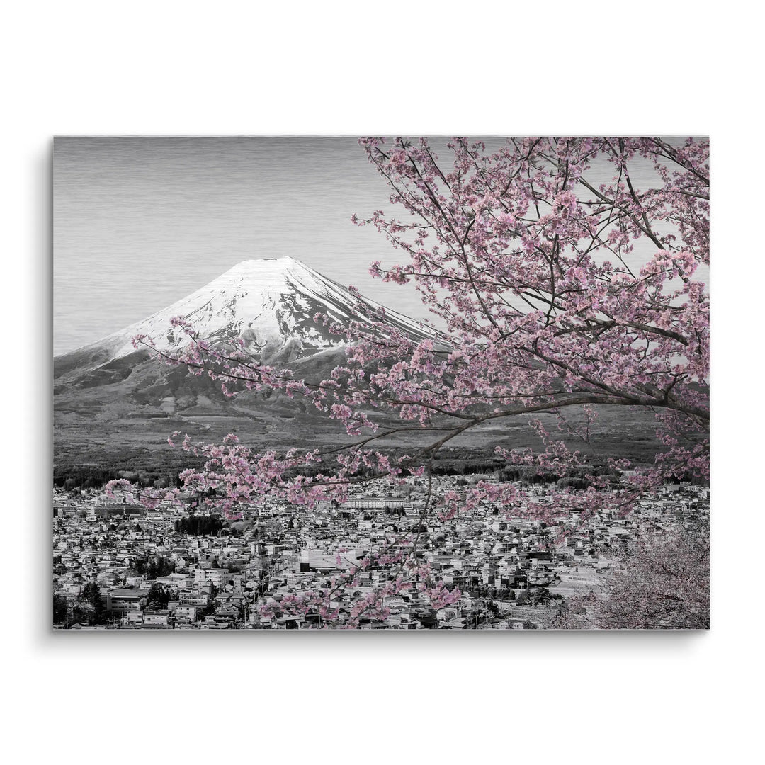 Fuji Blossom