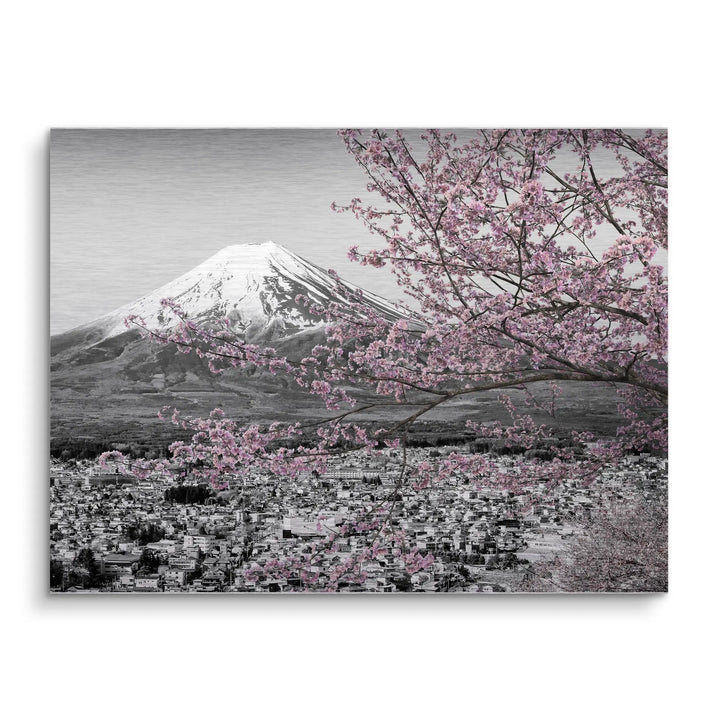 Fuji Blossom
