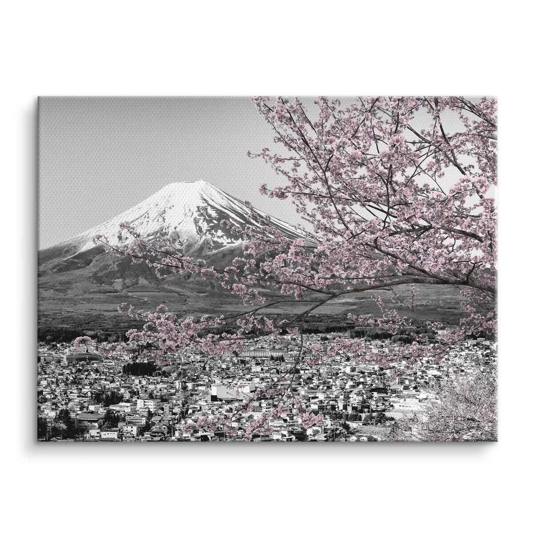 Fuji Blossom