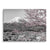 Fuji Blossom