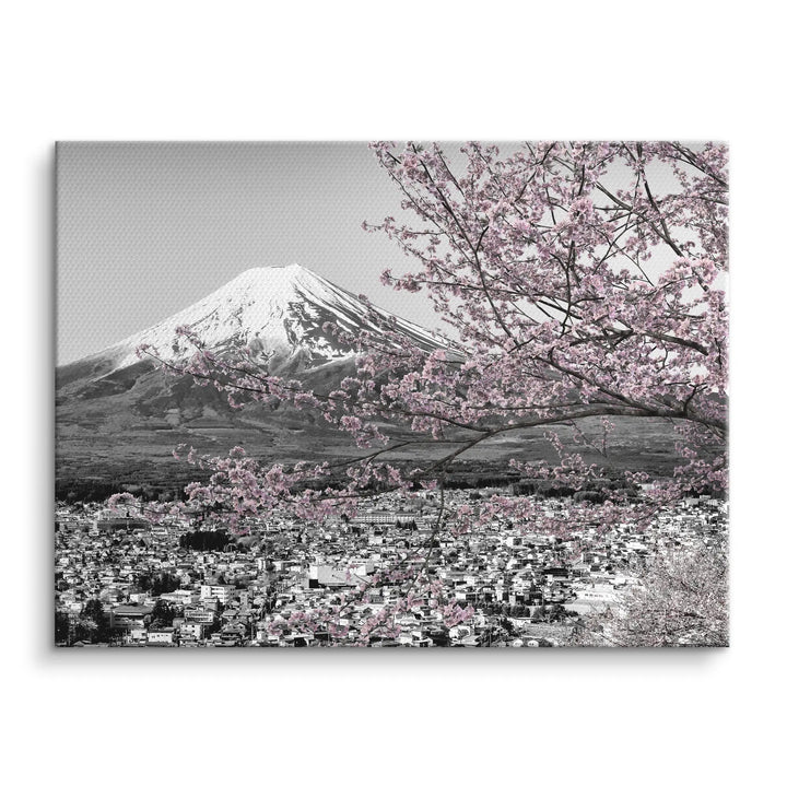Fuji Blossom
