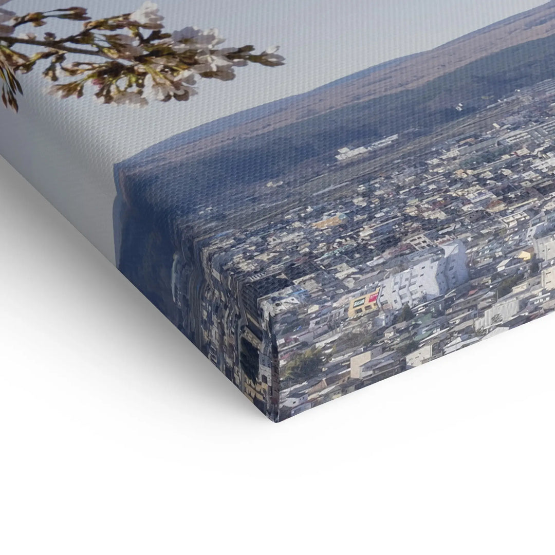 Fuji Blossom