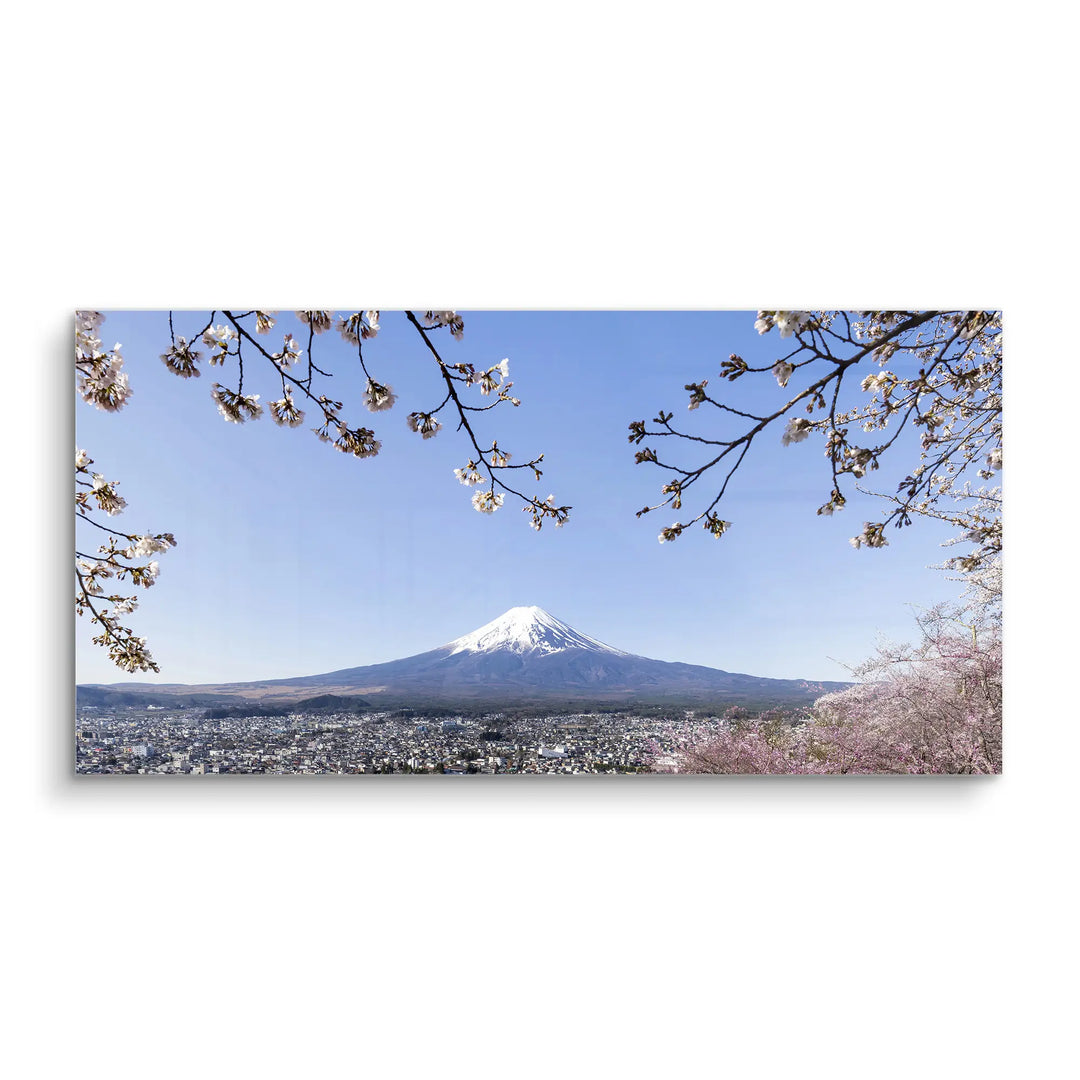 Fuji Blossom
