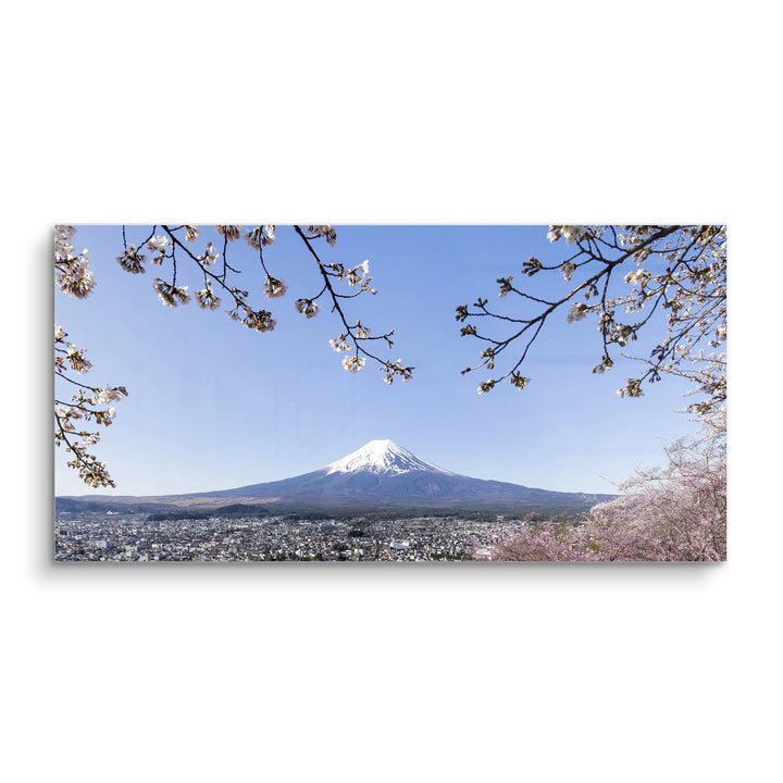 Fuji Blossom