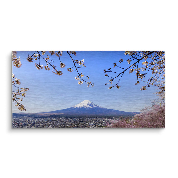 Fuji Blossom