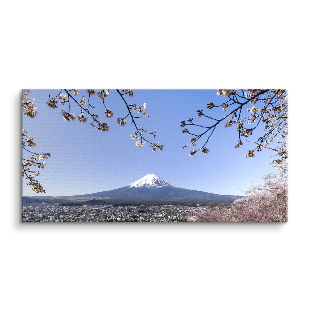 Fuji Blossom