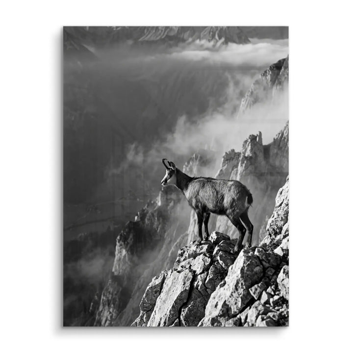 Summit Sentinel