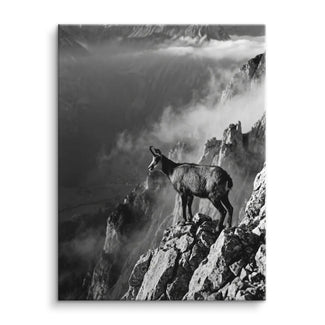 Summit Sentinel