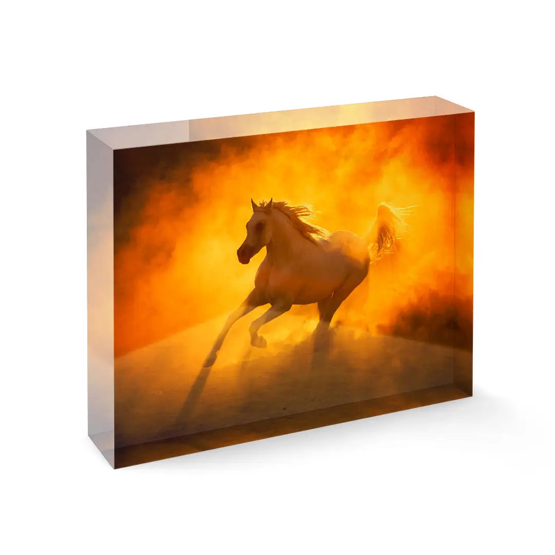 Golden Gallop