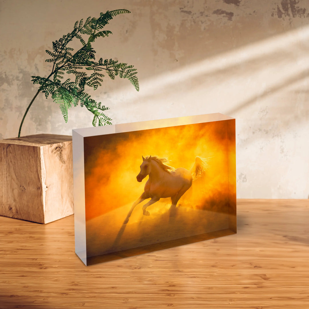 Golden Gallop